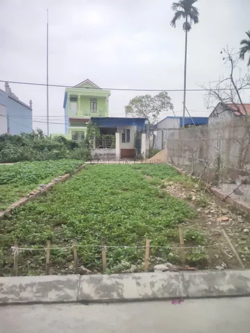 Bất động sản tại Hải Phòng - ảnh 1