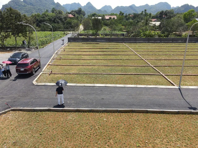 Bất động sản tại Phú Thọ - ảnh 1