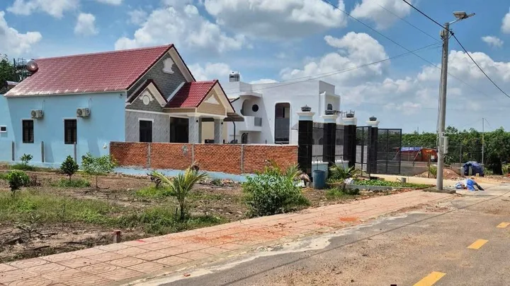 Bất động sản tại Bình Dương - ảnh 1