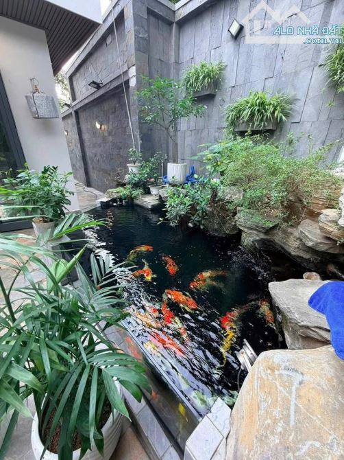 Bất động sản tại Hải Phòng - ảnh 1