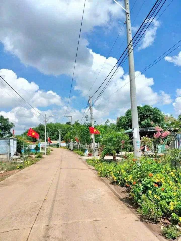 Bất động sản tại Bình Dương - ảnh 1