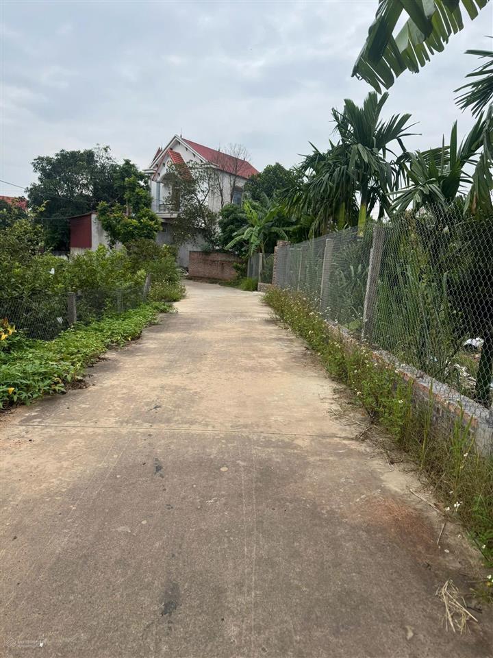 Bất động sản tại Bắc Giang - ảnh 1