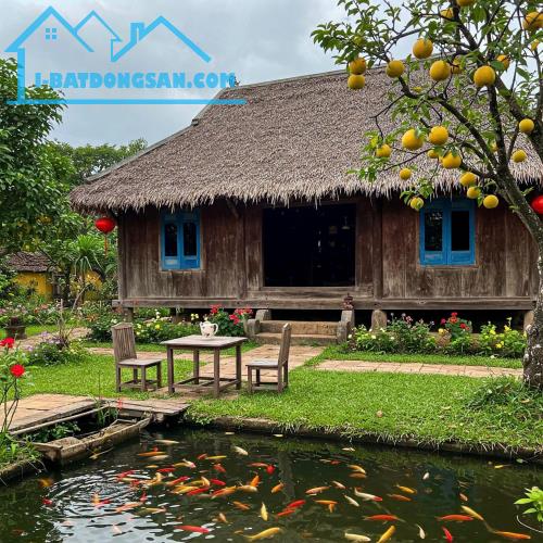 Bất động sản tại Đồng Tháp - ảnh 1
