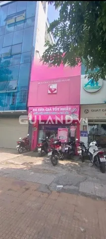 Bất động sản tại TP. Hồ Chí Minh - ảnh 1