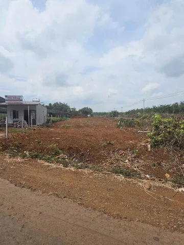Bất động sản tại Đắk Lắk - ảnh 1