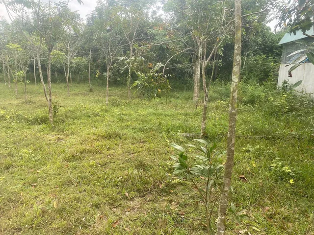 Bất động sản tại Bình Dương - ảnh 1