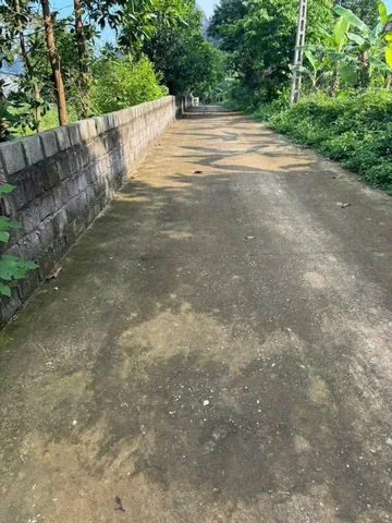 Bất động sản tại Phú Thọ - ảnh 1