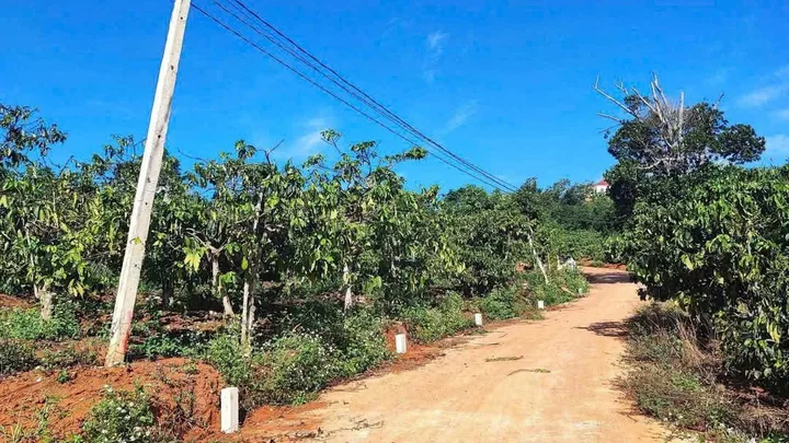 Bất động sản tại Lâm Đồng - ảnh 1
