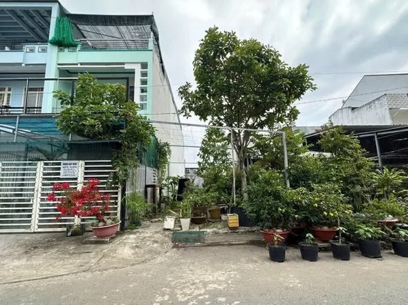 Bất động sản tại Cần Thơ - ảnh 1