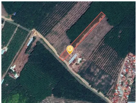 Bất động sản tại Bình Dương - ảnh 1