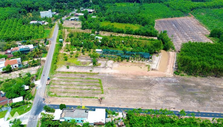 Bất động sản tại Bình Dương - ảnh 1