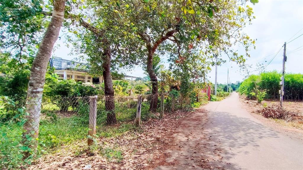 Bất động sản tại Bà Rịa - Vũng Tàu - ảnh 1