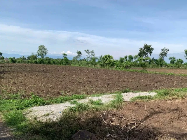 Bất động sản tại Đắk Lắk - ảnh 1