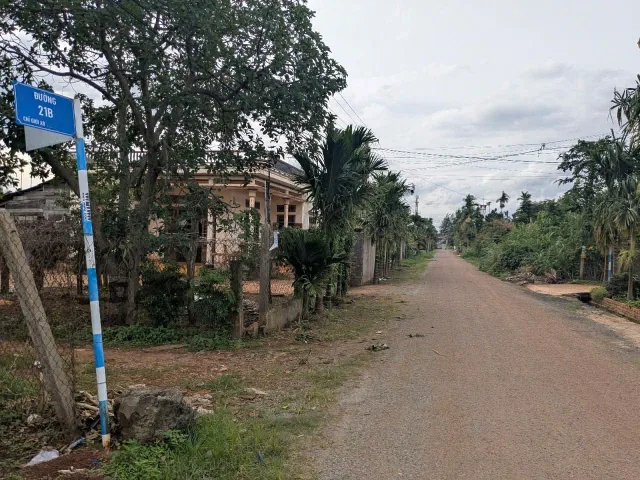 Bất động sản tại Đắk Lắk - ảnh 1