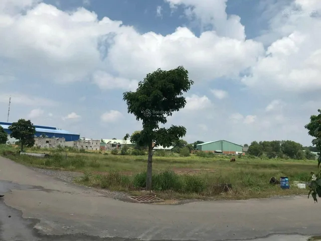 Bất động sản tại Bình Dương - ảnh 1