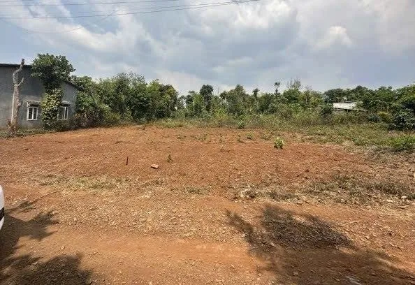 Bất động sản tại Đắk Lắk - ảnh 1