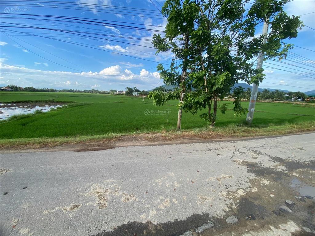 Bất động sản tại Khánh Hòa - ảnh 1