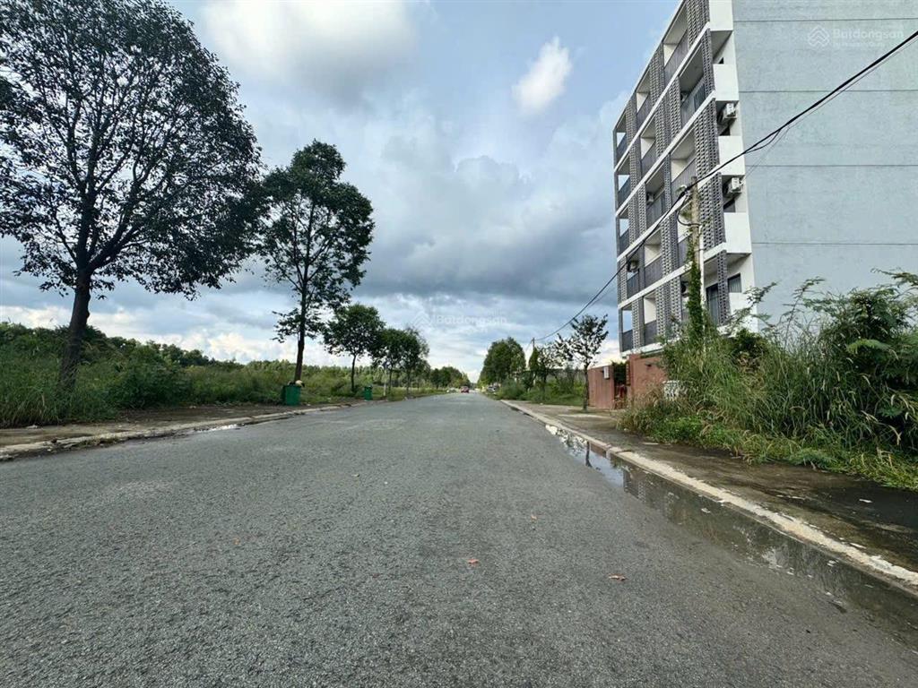 Bất động sản tại Bình Dương - ảnh 1