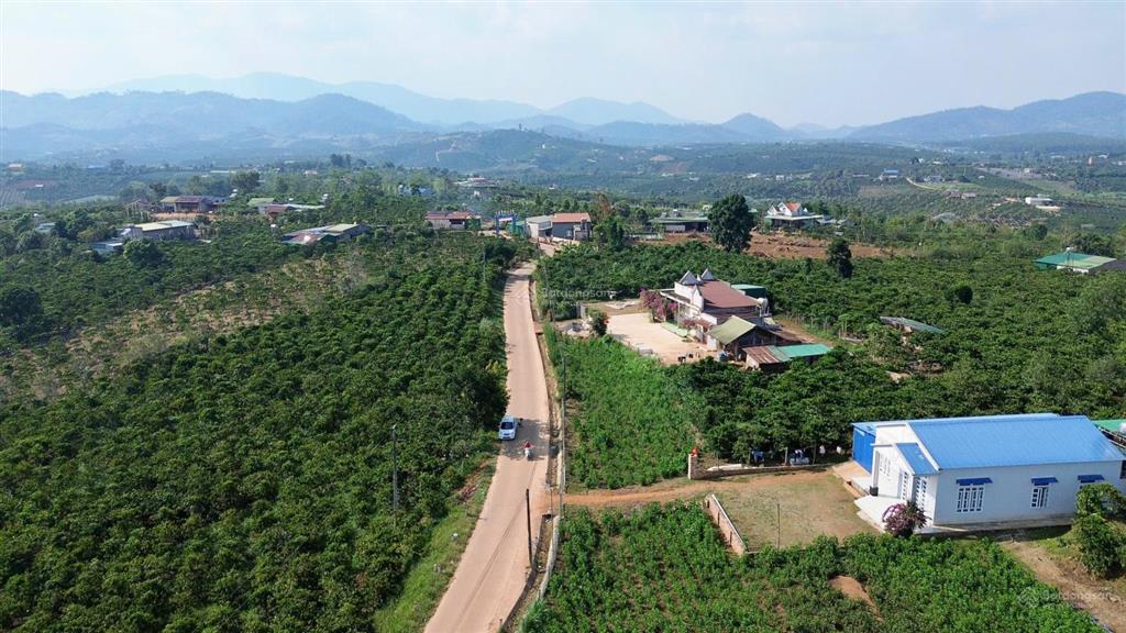 Bất động sản tại Lâm Đồng - ảnh 1
