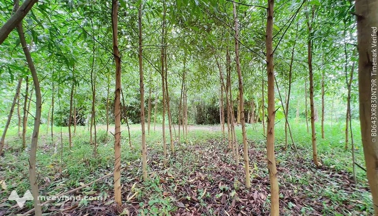 Bất động sản tại Hậu Giang - ảnh 1