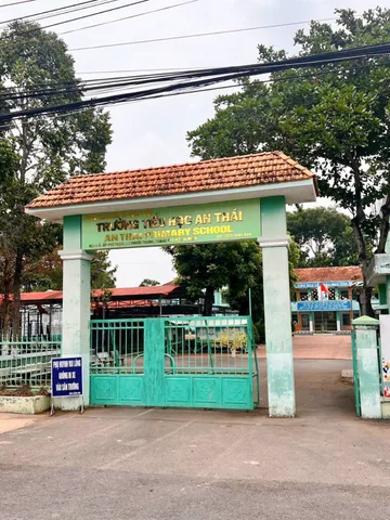 Bất động sản tại Bình Dương - ảnh 1