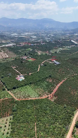 Bất động sản tại Lâm Đồng - ảnh 1