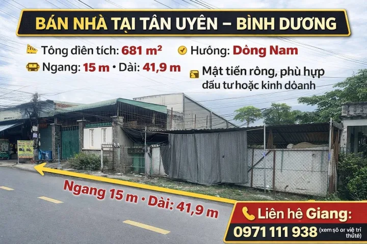 Bất động sản tại Bình Dương - ảnh 1