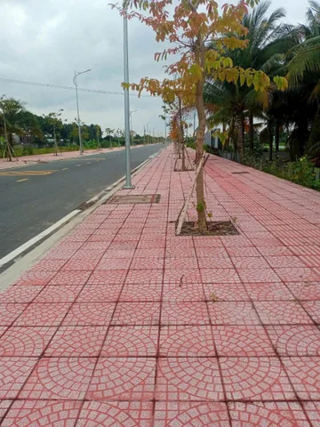 Bất động sản tại Vĩnh Long - ảnh 1