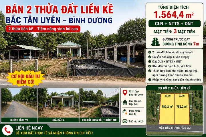 Bất động sản tại Bình Dương - ảnh 1