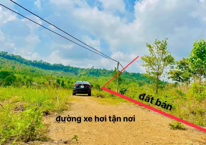 Bất động sản tại Đắk Lắk - ảnh 1