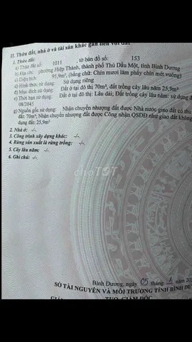 Bất động sản tại Bình Dương - ảnh 1