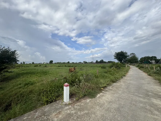 Bất động sản tại Lâm Đồng - ảnh 1