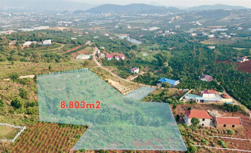 Bất động sản tại Lâm Đồng - ảnh 1