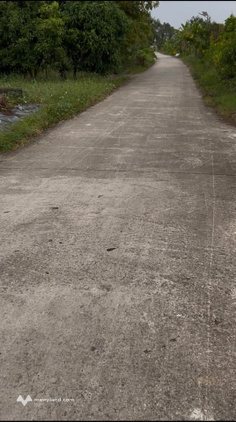Bất động sản tại Cà Mau - ảnh 1