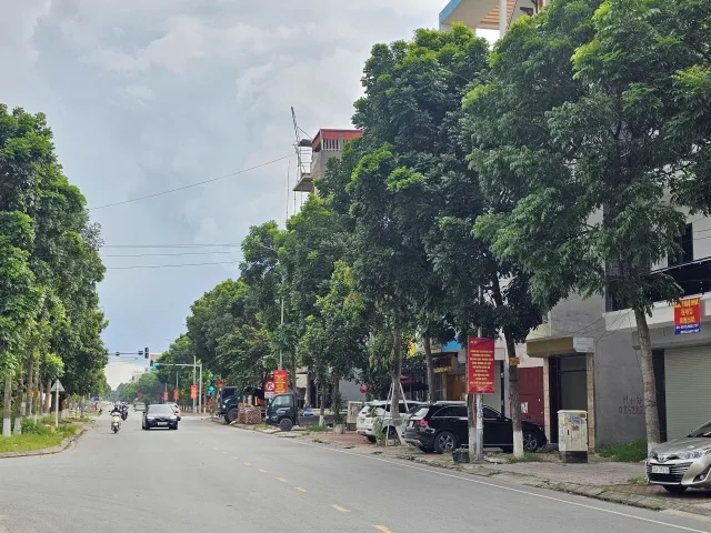 Bất động sản tại Bắc Ninh - ảnh 1