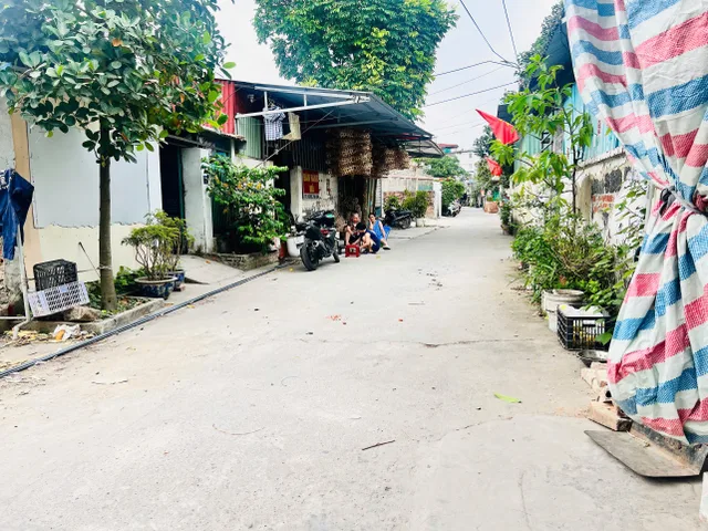 Bất động sản tại Hải Phòng - ảnh 1