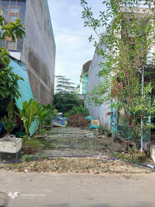 Bất động sản tại Đà Nẵng - ảnh 1