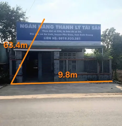 Bất động sản tại Bình Dương - ảnh 1