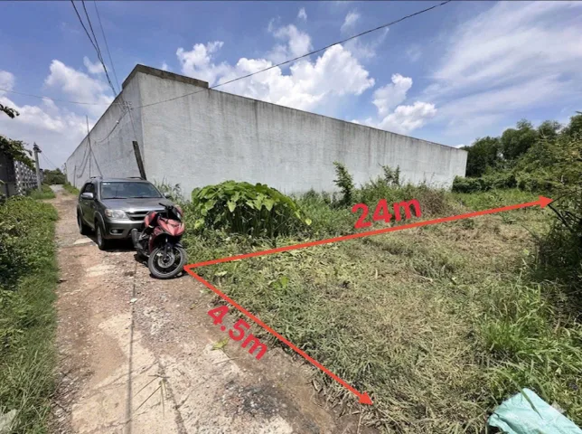 Bất động sản tại Long An - ảnh 1