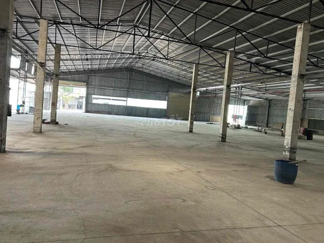 Bất động sản tại Bình Dương - ảnh 1