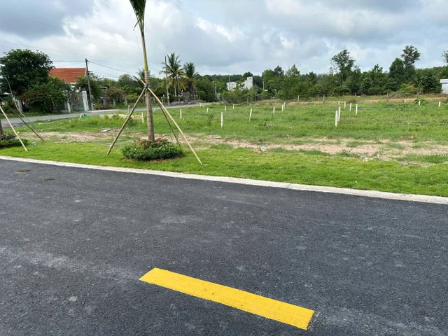Bất động sản tại Bình Dương - ảnh 1