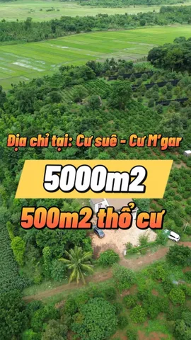 Bất động sản tại Đắk Lắk - ảnh 1