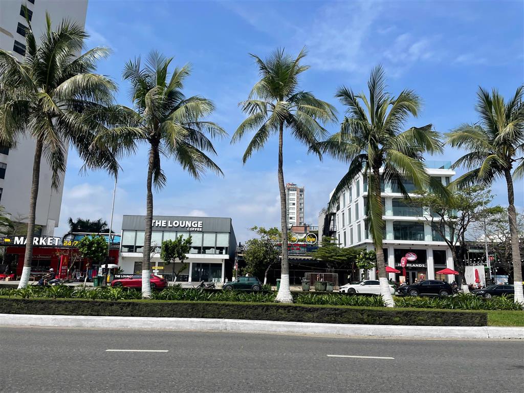 Bất động sản tại Đà Nẵng - ảnh 1