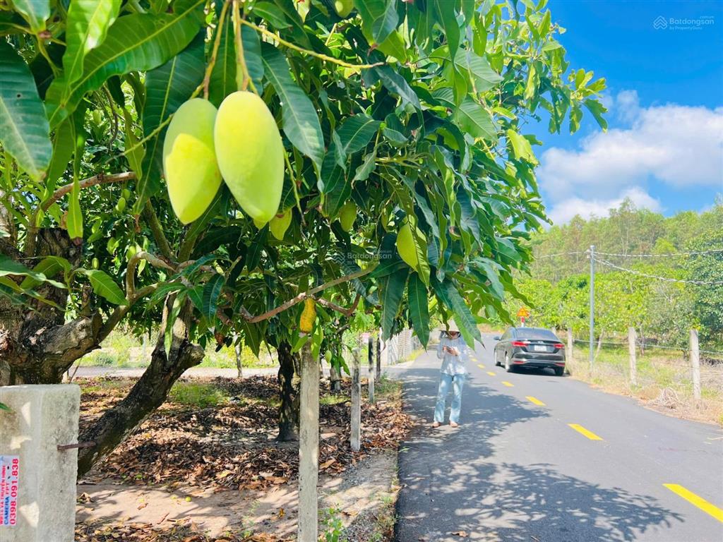 Bất động sản tại Bà Rịa - Vũng Tàu - ảnh 1