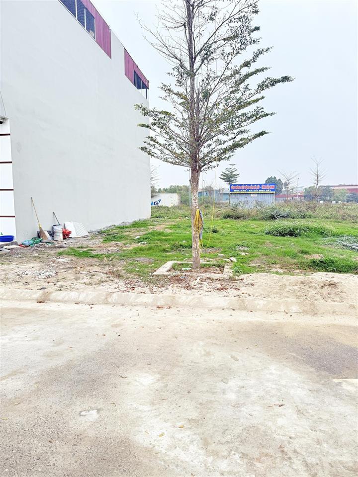 Bất động sản tại Bắc Giang - ảnh 1