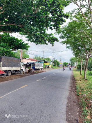 Bất động sản tại Bến Tre - ảnh 1