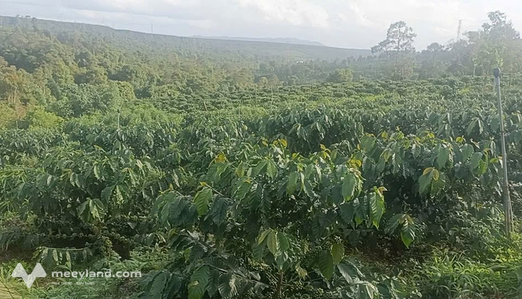 Bất động sản tại Tuyên Quang - ảnh 1