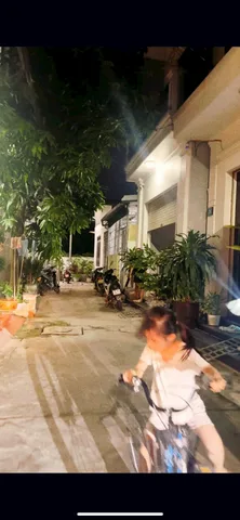 Bất động sản tại Hải Phòng - ảnh 1