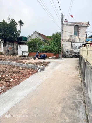 Bất động sản tại Thái Bình - ảnh 1