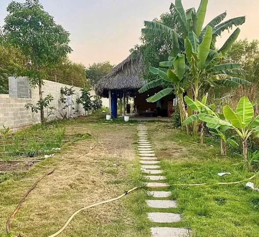 Bất động sản tại Bình Dương - ảnh 1